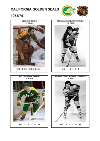 NHL cal 1973-74 foto hracu7