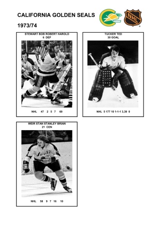 NHL cal 1973-74 foto hracu9