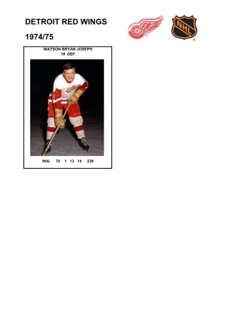 NHL det 1974-75 foto hracu11