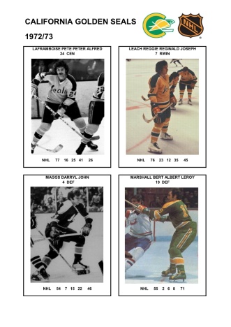 NHL cal 1972-73 foto hracu3