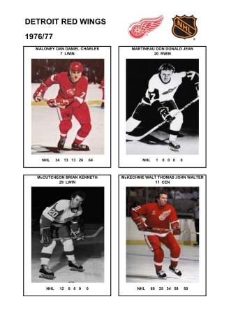 NHL det 1976-77 foto hracu6